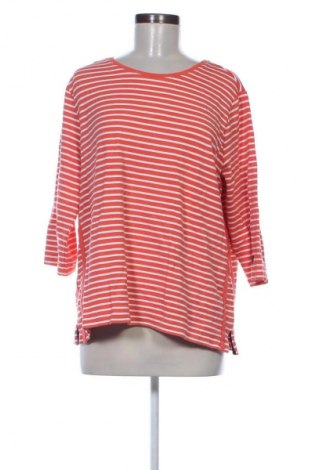 Dámska blúza Cecil, Veľkosť XL, Farba Viacfarebná, Cena  2,95 €