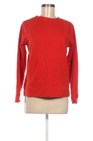 Γυναικεία μπλούζα Next, Μέγεθος M, Χρώμα Κόκκινο, Τιμή 2,99 €