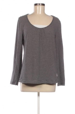 Bluzka damska Peter Hahn, Rozmiar M, Kolor Kolorowy, Cena 16,99 zł