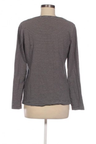 Bluzka damska Peter Hahn, Rozmiar M, Kolor Kolorowy, Cena 16,99 zł