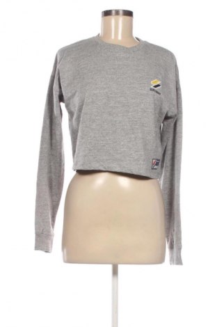 Γυναικεία μπλούζα Superdry, Μέγεθος S, Χρώμα Γκρί, Τιμή 13,07 €