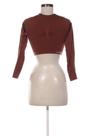 Dámská halenka Unbranded, Velikost XS, Barva Hnědá, Cena  109,00 Kč