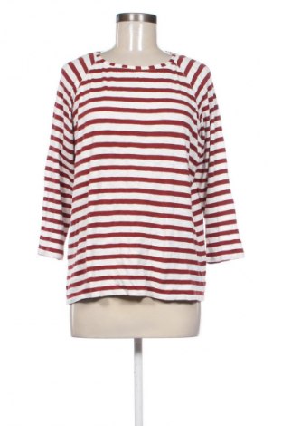 Dámska blúza Unbranded, Veľkosť M, Farba Viacfarebná, Cena  1,95 €