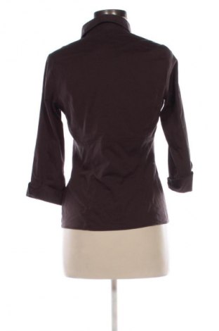 Damska koszula Colours Of The World, Rozmiar S, Kolor Brązowy, Cena 46,32 zł