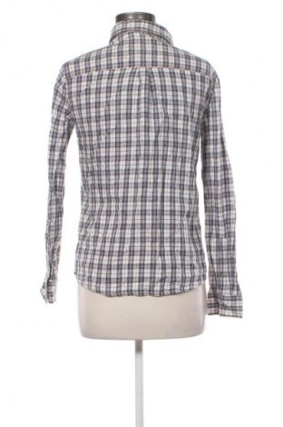 Damenbluse Mango, Größe M, Farbe Mehrfarbig, Preis 7,99 €