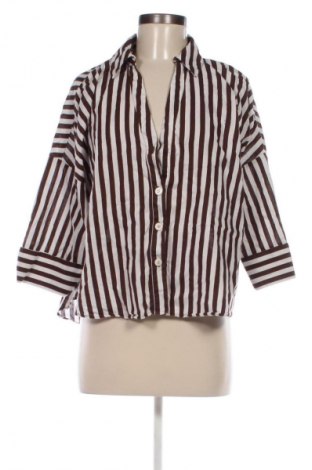 Dámska košeľa  Zara, Veľkosť L, Farba Viacfarebná, Cena  5,95 €