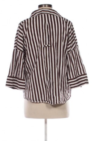 Dámska košeľa  Zara, Veľkosť L, Farba Viacfarebná, Cena  5,95 €