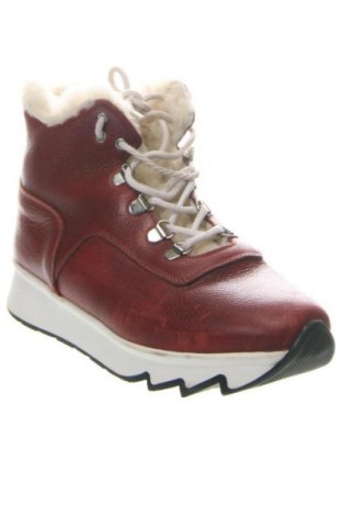 Női bokacsizma Unbranded, Méret 37, Szín Sokszínű, Ár 18 709 Ft