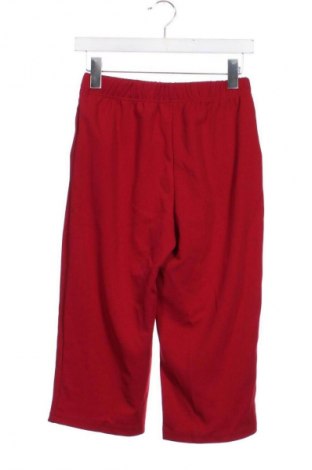 Damskie szorty SHEIN, Rozmiar XS, Kolor Czerwony, Cena 16,99 zł