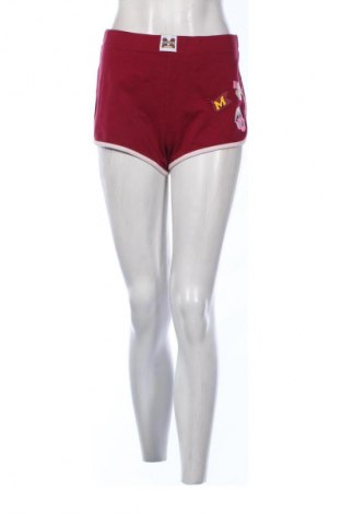 Γυναικείο κοντό παντελόνι Undiz, Μέγεθος L, Χρώμα Πολύχρωμο, Τιμή 11,99 €