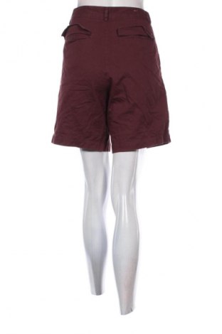 Damen Shorts Zara, Größe L, Farbe Rot, Preis 13,99 €