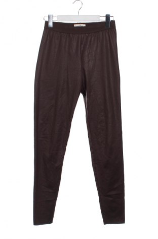 Γυναικείο κολάν Essentials by Tchibo, Μέγεθος XS, Χρώμα Καφέ, Τιμή 3,99 €