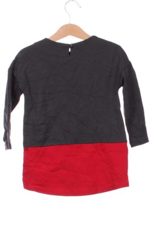 Παιδική μπλούζα Brums, Μέγεθος 2-3m/ 56-62 εκ., Χρώμα Πολύχρωμο, Τιμή 1,99 €