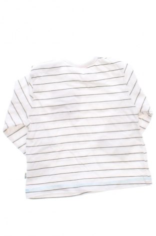 Detská blúzka  Liegelind, Veľkosť 2-3m/ 56-62 cm, Farba Viacfarebná, Cena  7,95 €