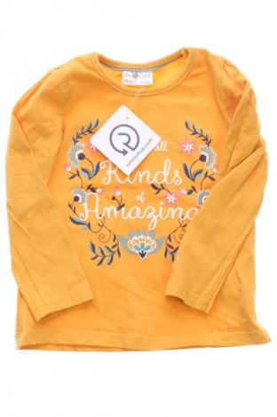 Gyerek blúz Pepco, Méret 12-18m / 80-86 cm, Szín Sokszínű, Ár 669 Ft