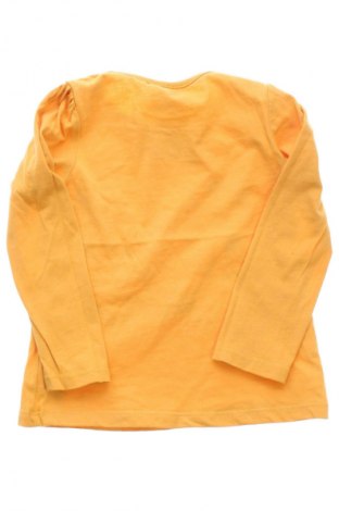 Gyerek blúz Pepco, Méret 12-18m / 80-86 cm, Szín Sokszínű, Ár 669 Ft