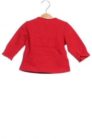 Detská blúzka  Schnizler, Veľkosť 3-6m/ 62-68 cm, Farba Červená, Cena  8,99 €