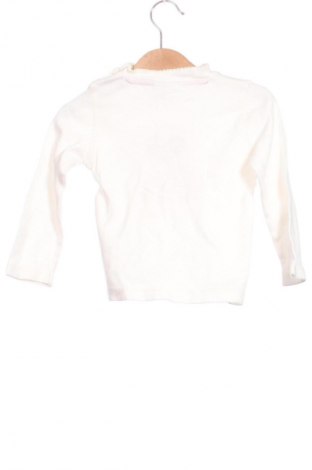 Dziecięca bluzka Topolino, Rozmiar 12-18m/ 80-86 cm, Kolor Kolorowy, Cena 25,99 zł