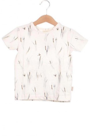 Kinder T-Shirt Petit Piao, Größe 18-24m/ 86-98 cm, Farbe Mehrfarbig, Preis 6,99 €