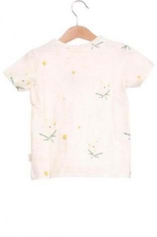 Kinder T-Shirt Petit Piao, Größe 18-24m/ 86-98 cm, Farbe Mehrfarbig, Preis 6,99 €