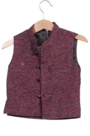 Παιδικό γιλέκο Unbranded, Μέγεθος 18-24m/ 86-98 εκ., Χρώμα Πολύχρωμο, Τιμή 4,99 €