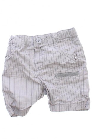 Dziecięce szorty Baby Club, Rozmiar 3-6m/ 62-68 cm, Kolor Kolorowy, Cena 6,99 zł