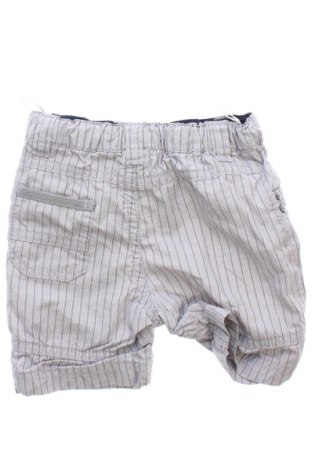 Dziecięce szorty Baby Club, Rozmiar 3-6m/ 62-68 cm, Kolor Kolorowy, Cena 6,99 zł