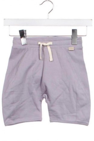 Gyerek rövidnadrág Petit Piao, Méret 2-3y / 98-104 cm, Szín Szürke, Ár 9 009 Ft