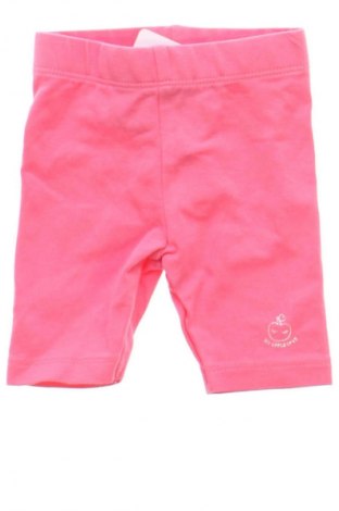 Dziecięce legginsy Orchestra, Rozmiar 2-3m/ 56-62 cm, Kolor Różowy, Cena 6,99 zł