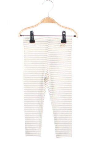 Dziecięce legginsy Petit Piao, Rozmiar 9-12m/ 74-80 cm, Kolor Kolorowy, Cena 36,99 zł
