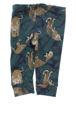 Παιδικό κολάν The New, Μέγεθος 2-3m/ 56-62 εκ., Χρώμα Πολύχρωμο, Τιμή 5,99 €