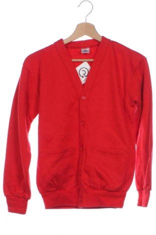 Pánský kardigán Unbranded, Velikost XS, Barva Červená, Cena  245,00 Kč