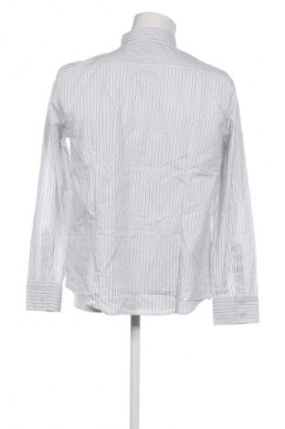 Pánská košile  Dockhouse, Velikost L, Barva Vícebarevné, Cena  250,00 Kč