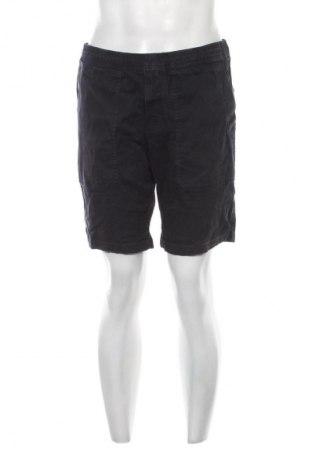 Herren Shorts Tommy Hilfiger, Größe L, Farbe Blau, Preis 99,99 €, #134859973