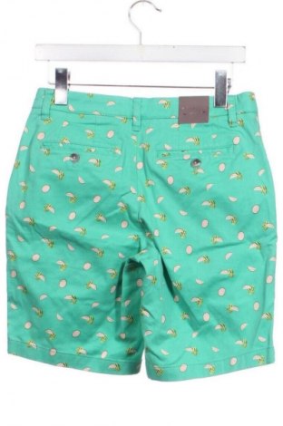 Pánské kraťasy Fairlane & Sons, Velikost S, Barva Vícebarevné, Cena  329,00 Kč