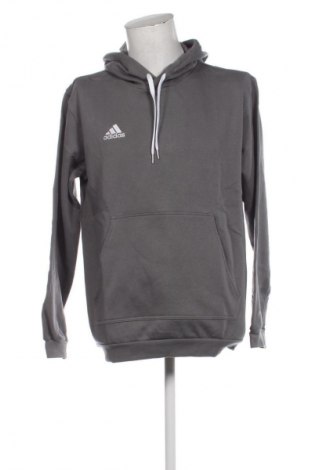 Herren Sweatshirt Adidas, Größe L, Farbe Grau, Preis € 49,99