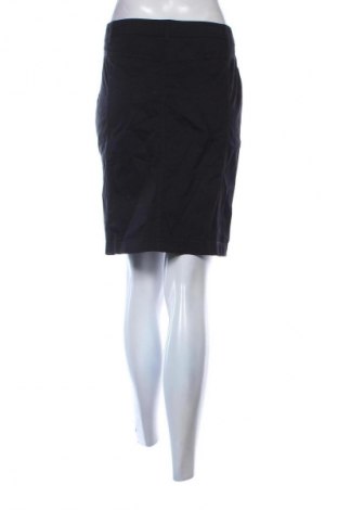 Sukňa Unbranded, Veľkosť L, Farba Čierna, Cena  3,95 €