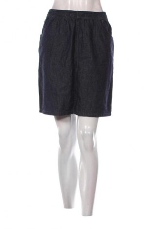 Sukně Unbranded, Velikost L, Barva Modrá, Cena  129,00 Kč