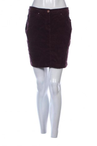 Sukňa Yessica, Veľkosť L, Farba Fialová, Cena  1,95 €