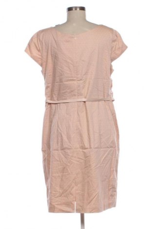 Sukienka Betty & Co, Rozmiar XL, Kolor Kolorowy, Cena 242,99 zł