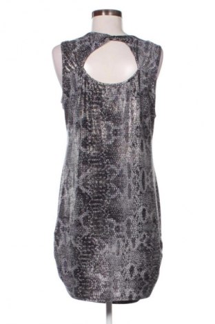 Φόρεμα Debenhams, Μέγεθος XL, Χρώμα Πολύχρωμο, Τιμή 4,99 €