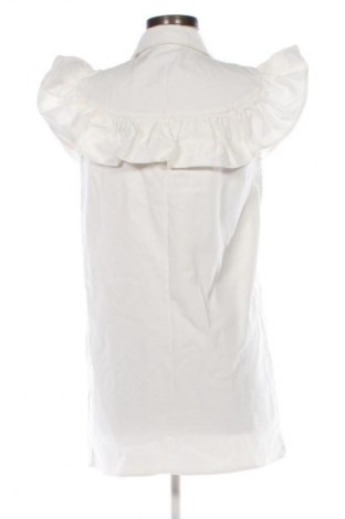 Kleid Zara, Größe L, Farbe Weiß, Preis € 26,99