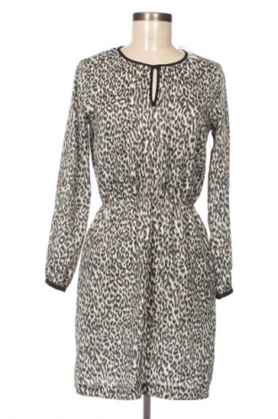 Sukienka Zara, Rozmiar S, Kolor Kolorowy, Cena 44,99 zł