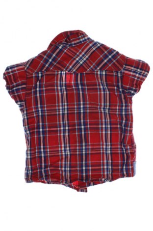Детска риза Unbranded, Размер 3-6m/ 62-68 см, Цвят Многоцветен, Цена 2,04 €