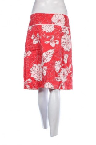 Φούστα Sasha, Μέγεθος M, Χρώμα Πολύχρωμο, Τιμή 1,99 €